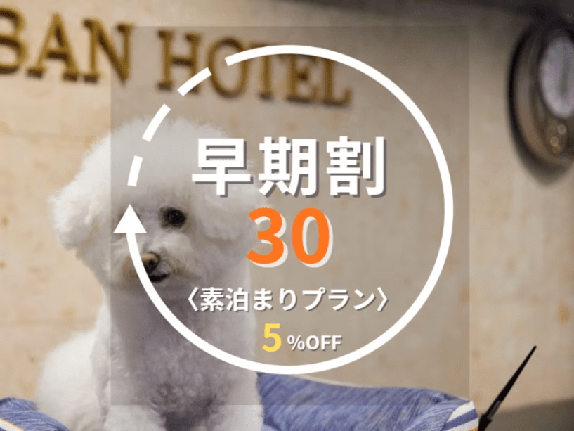 早期割30プラン