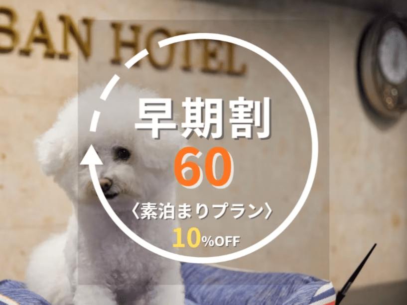 早期割60プラン