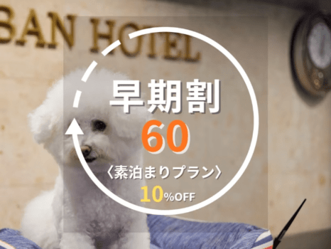 早期割60プラン
