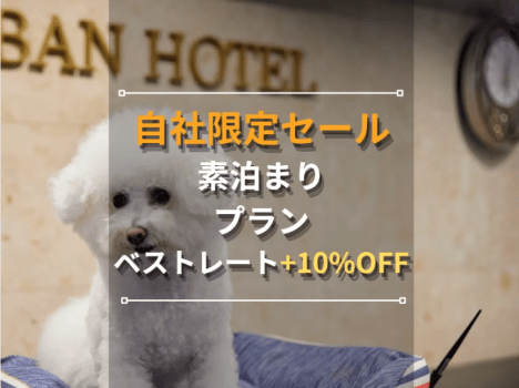 自社限定プラン　ベストレートからさらに10%OFF