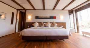 RERA 主寝室はハリウッドスタイルのベッドルーム