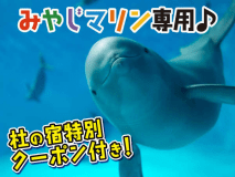 みやじま杜の宿　オリジナルクーポン♪宮島水族館で利用できます♪