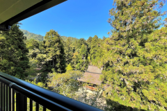 Japanese-Style Superior Room with Private Bathroom◇Non-smoking【Forest side】