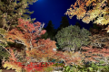 【2 Meals Included】《Grade up！》Itsukushima Kaiseki course