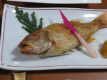 【贅沢コース】～豪華な食材で贅沢三昧！（本ズワイガニ半身・のどぐろ・舟盛り・和牛料理・あわび）～