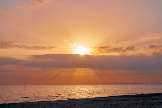 【早割】 迷ったらコレ　1泊2食付きスタンダードプラン