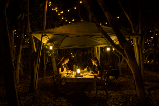 学割で超お得！学生応援プラン（夕食希望はオプションよりお選びください）