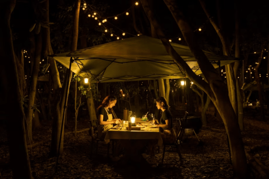 【早割】 迷ったらコレ　1泊2食付きスタンダードプラン