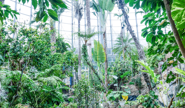 Botanica Museumチケット付きプラン【お食事はオプションよりお選びください】