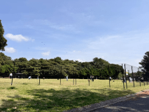 ドッグランチケット付きプラン【お食事はオプションよりお選びください】