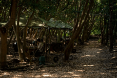BBQ機材付きプラン【お食事はオプションからお選びください】