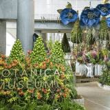 Botanica Museumチケット付きプラン【お食事はオプションよりお選びください】