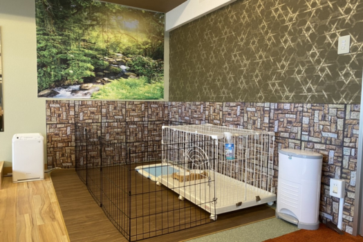 ワンワン部屋01