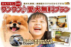 ワンワンプラン