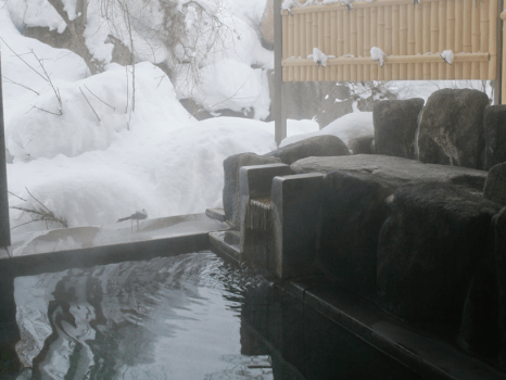 【新春ご旅行応援プラン】10％OFF！なごり雪の奥飛騨へ～夕食は飛騨牛「游山鍋」コース■お食事は個室食