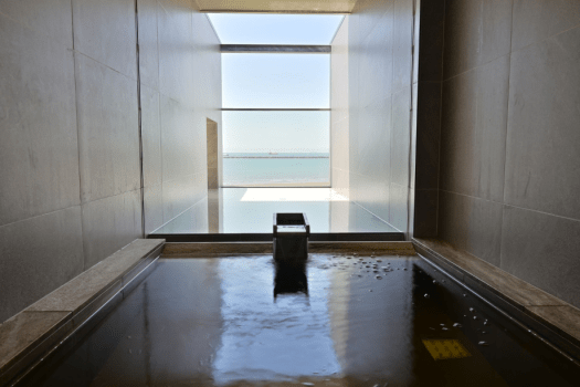 the rokuza インフィニティバス