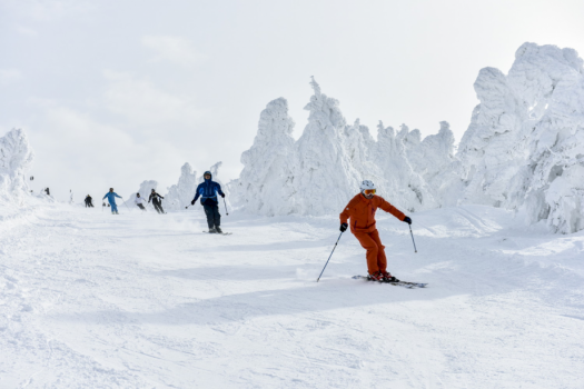 【蔵王温泉スキー場】一面の雪景色！どこまででも滑っていけそう！
