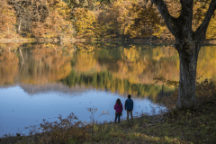 【鴫の谷地沼】当館から車で5分程、一周1.2㎞の散策道。周囲の紅葉と、水面に映る色づいた山々が見事♪