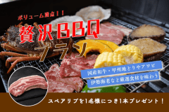 ◆スペアリブ付き！◆1名様1本プレゼント！お肉をがっつり楽しむ贅沢BBQ＜1泊2食＞