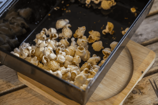 ■瀬戸内アクティビティ三昧■10種以上の体験セレクション✨瀬戸内を駆け巡れ🚲プライベートクルーズから夜のシアターまで🎬遊びが主役の自由派ステイ