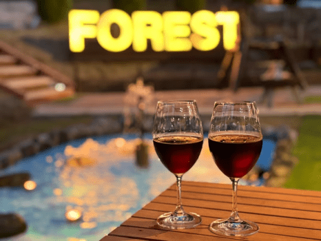 ✨星降る森のクリスマスステイ🎄〜カップルやファミリーにおすすめの冬季限定プラン〜【選べるお食事タイプ】