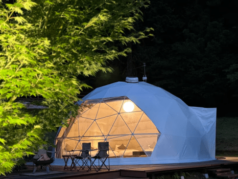 ✨星降る森のクリスマスステイ🎄〜カップルやファミリーにおすすめの冬季限定プラン〜【選べるお食事タイプ】