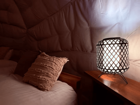 Forest Dome 【 2 beds・28 square meters 】