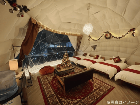 ✨星降る森のクリスマスステイ🎄〜カップルやファミリーにおすすめの冬季限定プラン〜【選べるお食事タイプ】