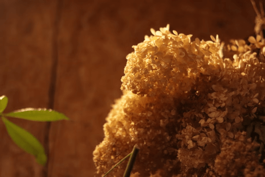 学生応援プラン♪＜2月1日～3月31日まで☆＞おひとり7,800円～25,800！！学生旅行者必見の特別プラン【選べるお食事タイプ】