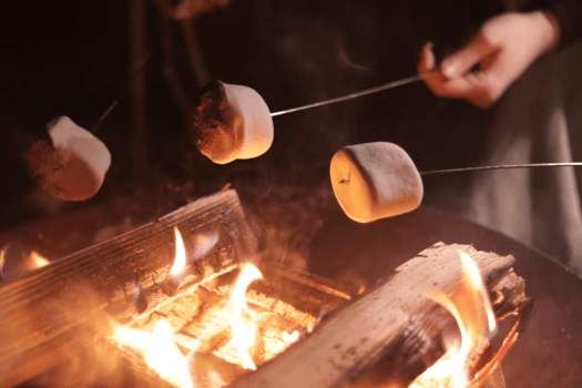 25歳以下が1人いればOK｜FOREST はじまりの春ステイ＜4/1〜4/24限定＞【素泊まり】