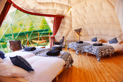 Forest Dome with a dog park 【 4 beds ・38 square meters】