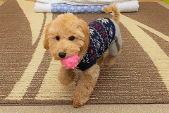 スイータブル・ツイン【禁煙】206