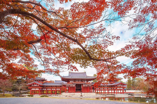 （紅葉と鳳凰堂）世界遺産・平等院鳳凰堂まで徒歩5分※画像はイメージ