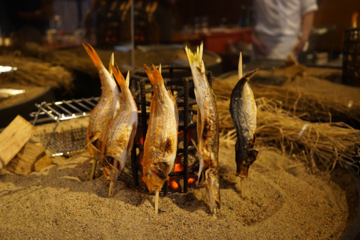 地魚割烹【波津の座】ライブダイニング「美食＆美酒」に酔いしれる季節のお料理コース／大人限定＜1泊2食付＞