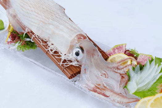 ＜平日おトク旅でさらにおトクに！＞ 【イカシーズン限定&times;平日だけの特別価格】活きイカ造り&times;活き鮑&times;鮨｜今だけの贅沢三昧プラン