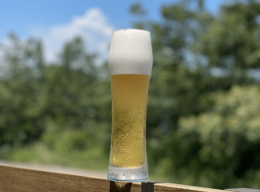 生ビールで乾杯