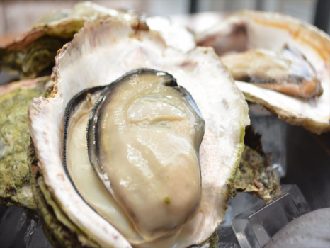 【この夏だけの贅沢】希少な「超特大岩ガキ」付きプラン