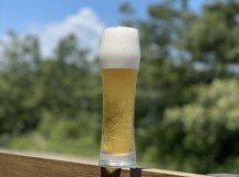 生ビールで乾杯