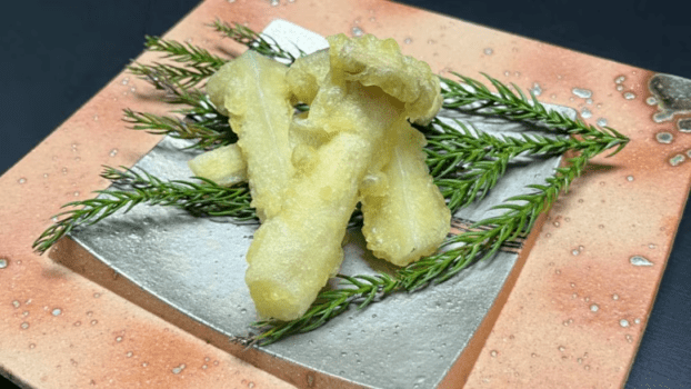 一泊3食付きでゆっくり23時間ステイプラン