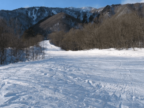 爺が岳スキー場かもしかコース