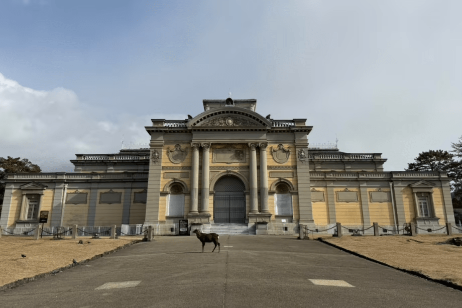 奈良国立博物館
当館から徒歩約12分
