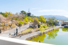 お部屋からの景観（猿沢池側）