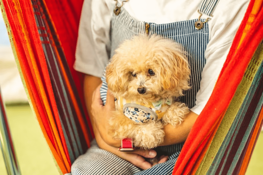 ＜ドッグラン付＞ワンちゃんと泊まれる那須高原グランピング(1泊2食付)