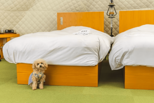 ＜ドッグラン付＞ワンちゃんと泊まれる那須高原グランピング(1泊2食付)