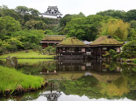 玄宮園からの国宝　彦根城