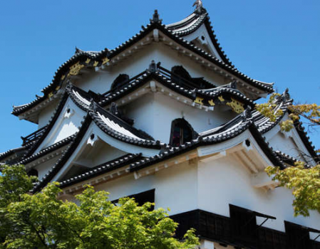 ≪夏≫新緑に満ちた国宝彦根城。