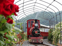 「ローザンベリー多和田」バラと宿根草のお庭の散策や、収穫、体験工房など大人気のガーデンファームです。