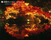 錦秋のライトアップ。幻想的な景色を堪能。