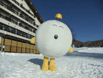 【１日券付】スキー場まで徒歩０分☆極上のパウダースノー　リフト券付スキープラン