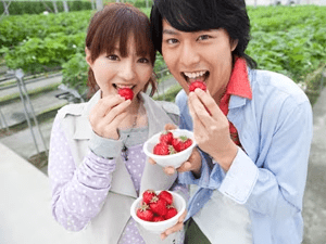 【イチゴ狩り体験】個室料亭食☆イチゴ食べ放題と淡路島満載会席で満腹プラン♪